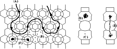 Molecular Dynamics of the Diffusion of Hydrocarbons in Zeolites